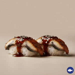 037.Nigiri anguila