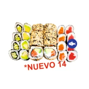 NUEVO 14